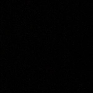 Meet your Posher, Nyla